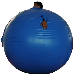 BeiLe Customize Quality Adult PVC Inflatable Blueberry Suit For Fun