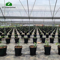 Systèmes de serres hydroponiques GT 10x30 Tunnel agricole Serre polytunnel pour l'extérieur