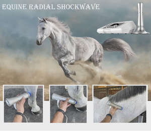 Pourquoi choisir la thérapie par ondes de choc pour la santé équine et animale - Product Image 3