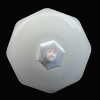 Filtre à encre à solvant à connecteur droit au lieu du filtre à encre en capsule Pall 5 µm pour imprimante à jet d'encre Liyu Myjet