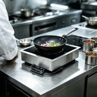 Table de cuisson à induction commerciale intégrée avec boîtier de commande séparé pour cuisine professionnelle