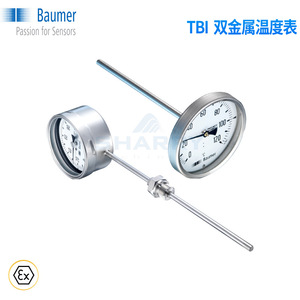 Sensor de Temperatura Baumer de 500 mm, Termopar de Acero Inoxidable para la Industria Alimentaria - Product Image 3