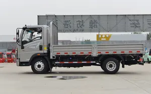 Sinotruk 5 toneladas caminhão leve para venda preço na Tanzânia
