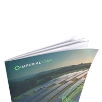 Service d'impression personnalisé écologique professionnel, conception de papier, mini brochure colorée, catalogue, brochure d'entreprise