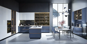 Allure Cabinetry <strong>Millwork</strong> Modern Kitchen Modular Kitchen <strong>Cabinets</strong> Stainless Steel Carcase Black Lacquer Finish Glass Doors - Product Image 3
