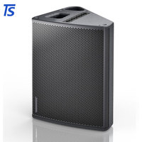 Haut-parleur de scène passif C15 simple de 15 pouces pour la pratique des fanfares professionnelles ou les concerts de grande envergure