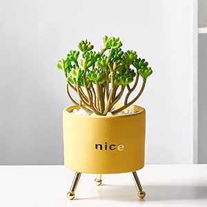 Pot de plante en céramique pour succulentes en dropshipping, 4,5 pouces, jardinières, petit récipient pour <span class=keywords><strong>cactus</strong></span>, pour table, rebord de fenêtre, chevet, jardin - Product Image 4
