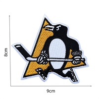 Écussons brodés avec logo de la Ligue Nationale de Hockey des États-Unis, à coudre sur les vêtements, les jeans, les vestes, les chapeaux, les badges