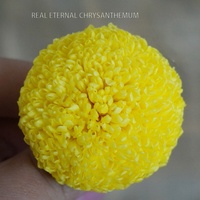 Caja de Flores de Crisantemo Pompon Naturales Preservadas, Flor Real Eterna, Ramo Decorativo Personalizable para el Día de la Madre