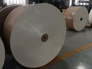 Rollo de Papel de Doble Cara con Recubrimiento de PE de Grado Alimenticio de Alta Calidad para Tazas de Té, Sándwiches, Azúcar, Pasteles, Embalaje, Modelo de Vaso de Papel - Product Image 6