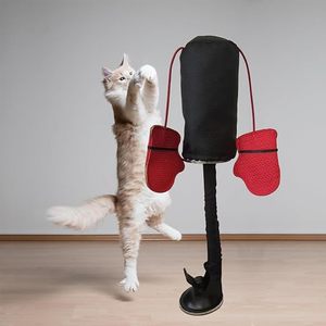 Jouet interactif et durable pour chat d'intérieur avec ventouse et menthe & clochettes - Jouet d'exercice pour chatons - Product Image 5
