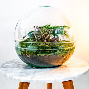Dispositif de <span class=keywords><strong>terrarium</strong></span> en verre dôme, kit de vase pour plantes hydroponiques - Product Image 2