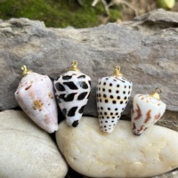Coquillages naturels en vrac Conus Ebraeus (coquilles de punaises hébraïques) – Pendentifs en coquillages véritables pour la fabrication de bijoux hawaïens DIY