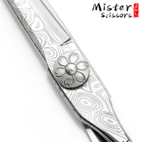 Ensemble de ciseaux de coiffure professionnels Mister New Popular Barber