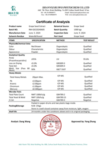 100% alami ekstrak Benih anggur suplemen makanan - Product Image 6