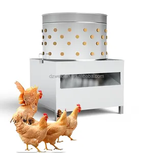 Macchina per la pulizia del pollo WQ spiumatore di pollo usato in fabbrica a risparmio energetico per vendita calda (approvato CE) per pollo