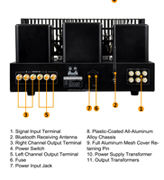 Veteran Serisi Pure Classic 300B Hi-Fi Tüp Amplifikatörü, Ev Eğlencesi için Tüp Koruyucu Kılıflı