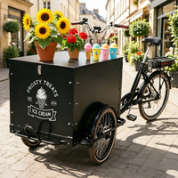 Tricycle électrique à pédales 3 roues pour adulte, vélo cargo urbain, tricycle utilitaire, vélo cargo, vélo cargo électrique, semi-camion cargo