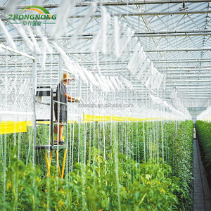 Grande serre agricole commerciale à faible coût, facile à installer, complète, pour semis de tomates, structure de serre multi-voûtes - Product Image 4