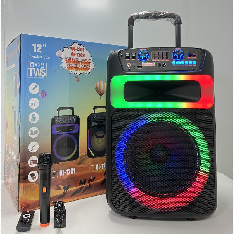Extra Large Portable Wireless Outdoor Speaker - Dual 6-Inch