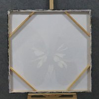 Vente en gros 100% peinture à l'huile à la main de haute qualité papillon peint à la main avec miroir mur Art toile Support Base pour la maison vente
