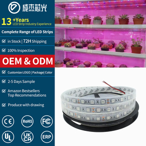 12V 5050 LED-strip voor plantengroei, 60 LED's/<span class=keywords><strong>m</strong></span>, volledig spectrum licht, CRI 80, CE-gecertificeerd voor binnen hydrocultuur, groenten en bloemen - Product Image 1