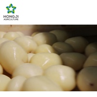 Flocons et poudre de pommes de terre instantanées : Marque Hongji, emballage personnalisable OEM pour l'industrie alimentaire, directement de l'usine
