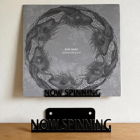 Support mural moderne en métal pour disques vinyles, présentoir d'albums, étagère de rangement pour LP, organisateur mural suspendu