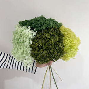 批发真触摸干花保存绣球花带茎用于婚礼装饰 - Product Image 2