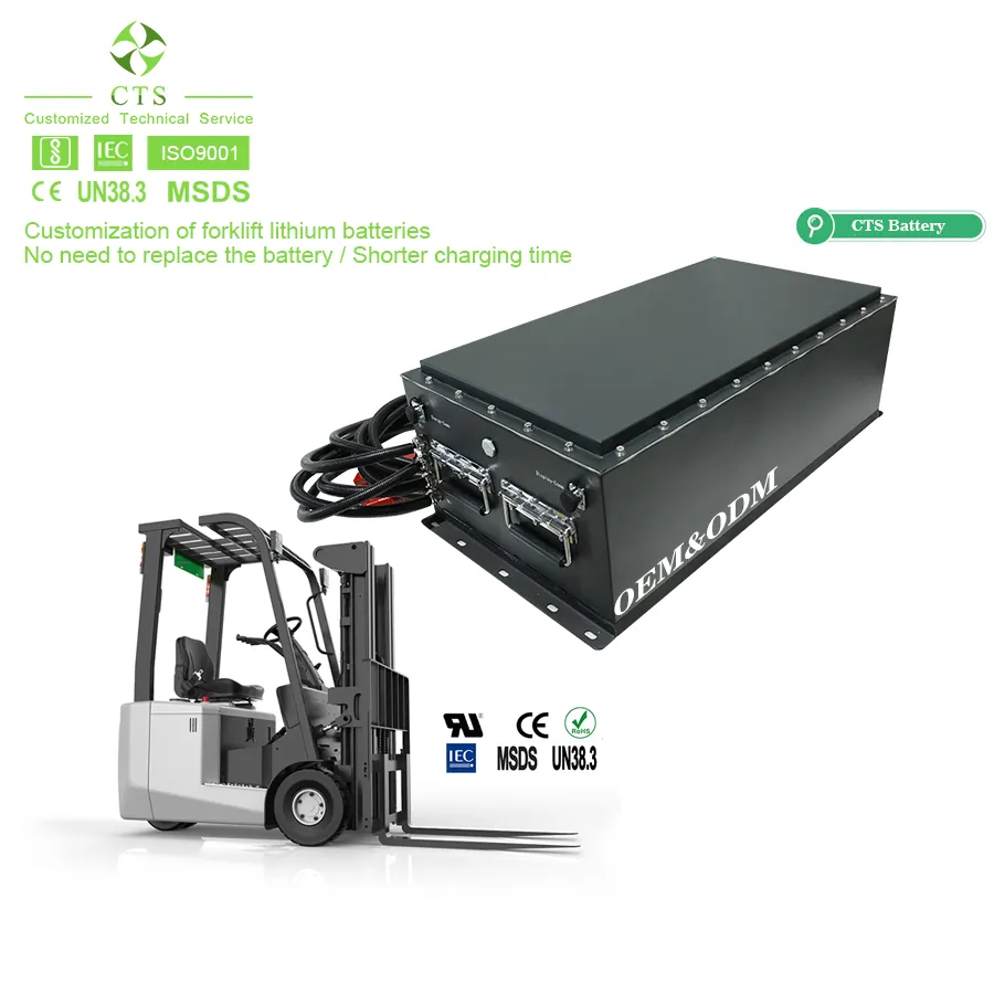 CTS usine personnalisé lifepo4 batterie au lithium-ion 24v 48v 80v véhicule électrique ATV AGV batterie avec BMS