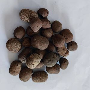 Billes de terre expansée légères pour culture hydroponique, billes de Leca, billes de pierre de terre cuite pour jardinage, support de culture pour herbes et plantes, billes de terre creuses - Product Image 2