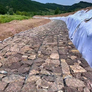 Gaviones para Piedras y Malla de Triple Torsión, <span class=keywords><strong>Jaula</strong></span> de Piedra Galvanizada para Infraestructura en Latinoamérica - Product Image 1