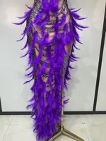 Damen Funkelndes Strass-Feder-Bodycon-Kleid Sexy Luxuriöses Geburtstags-Abendkleid Modenschau Bühnenkostüm Abendgarderobe