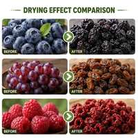 Machine industrielle de séchage des baies et des raisins, déshydrateur à air chaud en acier inoxydable pour myrtilles, canneberges et fruits