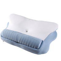 Taie d'oreiller personnalisée avec logo couleur, forme papillon, lavable, moderne, longue durée de vie, anti-ronflement, pour dormeurs sur le côté et sur le dos, en mousse à mémoire de forme cervicale