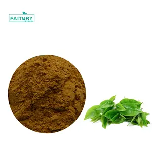 Wholesale Bulk Green Tea Extract 98% Polyphenols EGCG 50%-70% Catechins Powder