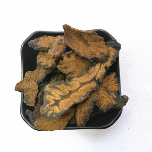 Rou Cong Rong all'ingrosso erbe cinesi essiccate <span class=keywords><strong>Naturel</strong></span> Cistanche Deserticola estratto di fetta di erbe biologiche in polvere - Product Image 6