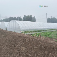 Serre agricole en film plastique à simple travée avec système hydroponique NFT à vendre