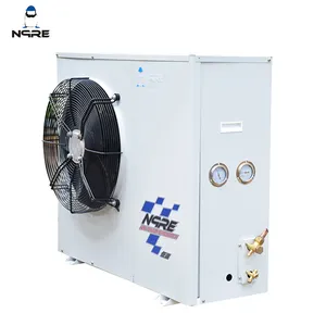 Koude Opslag Machines Scroll Compressor Doos 4HP Enkele Ventilator Condenserende Eenheid Air Cooler Voor Koelinstallaties Kit