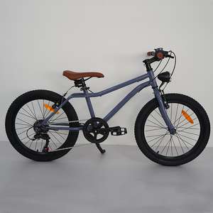 Bicicleta de montañ<span class=keywords><strong>a</strong></span> de 20 pulgadas de una sola velocidad <span class=keywords><strong>para</strong></span> niños de 8 <span class=keywords><strong>a</strong></span> 12 <span class=keywords><strong>a</strong></span>ños <span class=keywords><strong>para</strong></span> ciclismo y cuatrimoto, bicicleta perfecta <span class=keywords><strong>para</strong></span> niños - Product Image 4