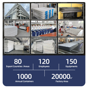 Nhà Máy Giá Bán Buôn Tại Trung Quốc-Khu Vực Túi Mùa Xuân Nệm Với Cao Su Cho Khách Sạn 5 Sao - Product Image 6