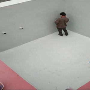 Cepillo de mano resistente a la intemperie, pintura de <span class=keywords><strong>poliurea</strong></span> para techo/terraza/suelo/construcción impermeable - Product Image 6