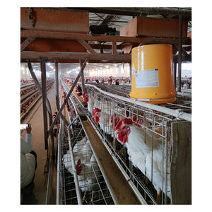Modern Tasarım Pil Güçlü Yumurtacı Tavuklar İçin Kümes Ekipmanları Tavuk Kafesi Satılık - Product Image 6