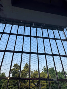 Clôture en treillis métallique hexagonal en acier revêtu de PVC, rouleau de 1x50m pour poulailler, filet pour volailles, <span class=keywords><strong>cage</strong></span> pour petits animaux, barrière de sécurité pour cour - Product Image 6