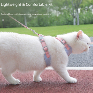 Correa Flexible para Gatos, Ligera, para Actividades en Interiores y Exteriores, Campamento, Paseo - Product Image 3