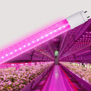 <span class=keywords><strong>Lampe</strong></span> <span class=keywords><strong>horticole</strong></span> de <span class=keywords><strong>croissance</strong></span> <span class=keywords><strong>Led</strong></span> à spectre complet T5 T8, haute efficacité pour la plantation intérieure de semis, <span class=keywords><strong>floraison</strong></span> de légumes, <span class=keywords><strong>horticole</strong></span> - Product Image 1