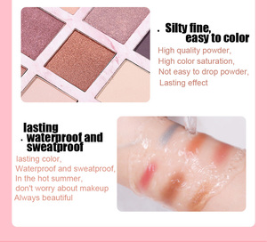 Profesional de mármol pigmentada paleta de sombra de ojos maquillaje 12 color arco iris de sombra de ojos Etiqueta - Product Image 6