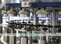 Bottles Filling Machine Filling Machine Pet Bottle Carbonated Can Filling Machine