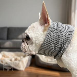 Collier pour chat en laine recyclée tricotée, durable et luxueux, tailles personnalisées - Product Image 1