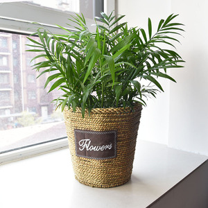 Maceta de Paja Nórdica, Maceta de Ratán, Cesta de Flores Extra Grande, Cesta de Ratán para Eneldo, Maceta de Bambú Tejida Creativa - Product Image 3